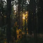 Hatta Gasiorowo (Legionowo)