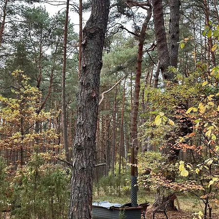 Hatta Gasiorowo (Legionowo)