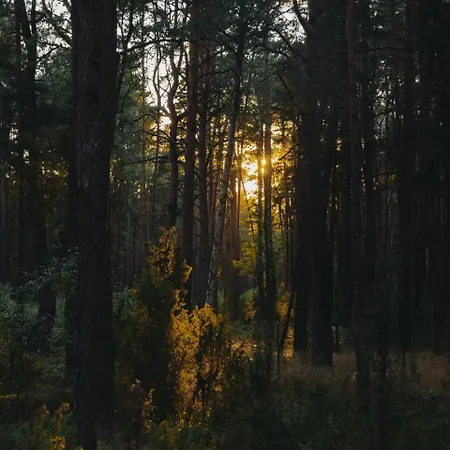 Hatta Gasiorowo (Legionowo)