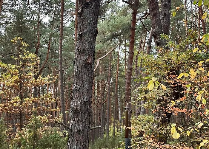 Hatta Gasiorowo (Legionowo)