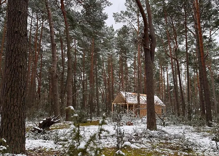 Hatta Gasiorowo (Legionowo)