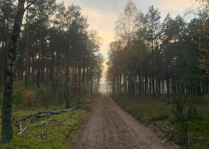 Hatta Gasiorowo (Legionowo)