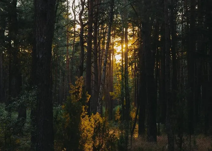 Hatta Gasiorowo (Legionowo)